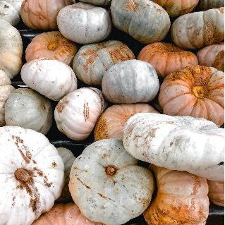 すきなもの画像1