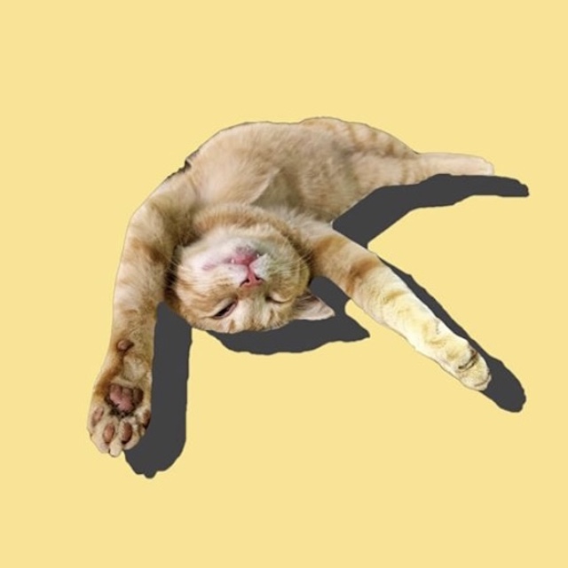 すきなもの画像2