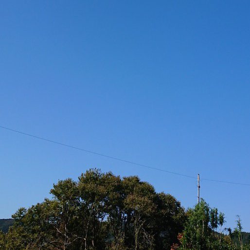 すきなもの画像1