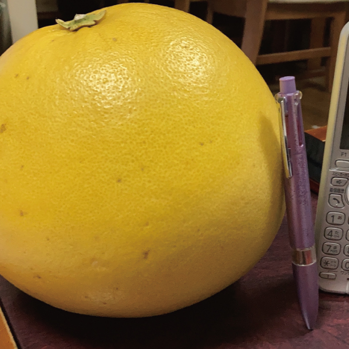 すきなもの画像3